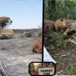 Avista National Park Damage Fine